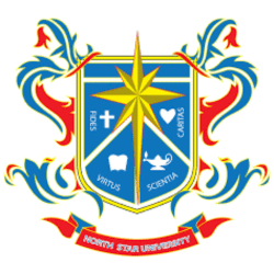 NorthStar University